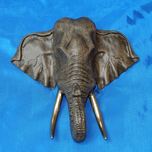 Barry Stein Barry Stein Elephant Mount